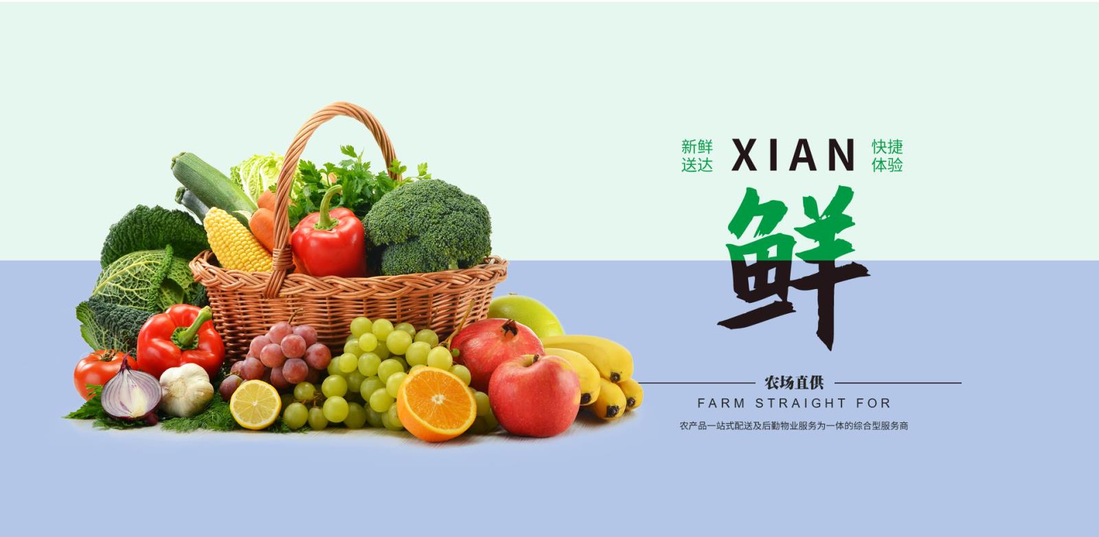 聚萃蔬配课堂：实用蔬菜选购技巧指南